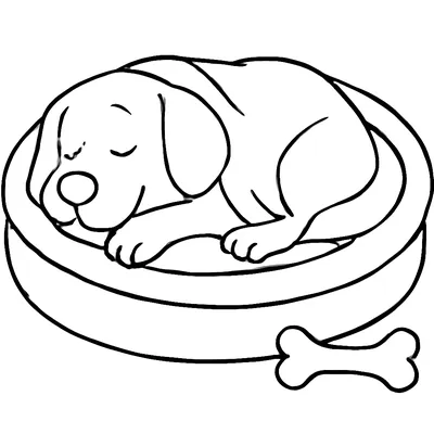 Dog coloring page of a dog asleep in a round dog bed, with a chew bone beside the bed.