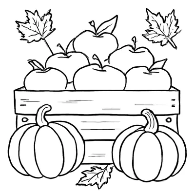 Fall coloring page of a wooden crate full of apples with two pumpkins in front and maple leaves around it.