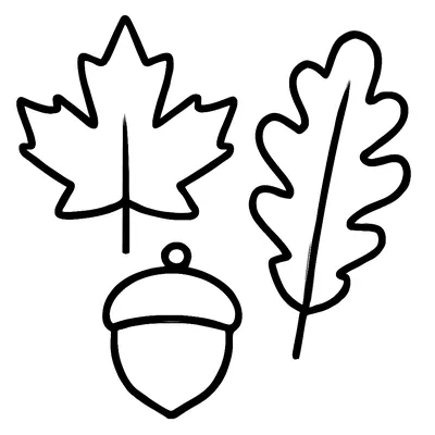 Simple fall coloring page of a maple leaf, an oak leaf and an acorn, thick black outlines on white.
