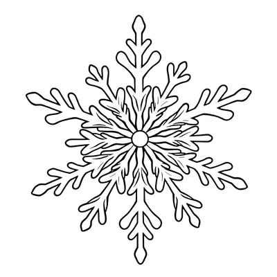Detailed coloring page of one large snowflake with six long arms, each with many small side branches like a fern.